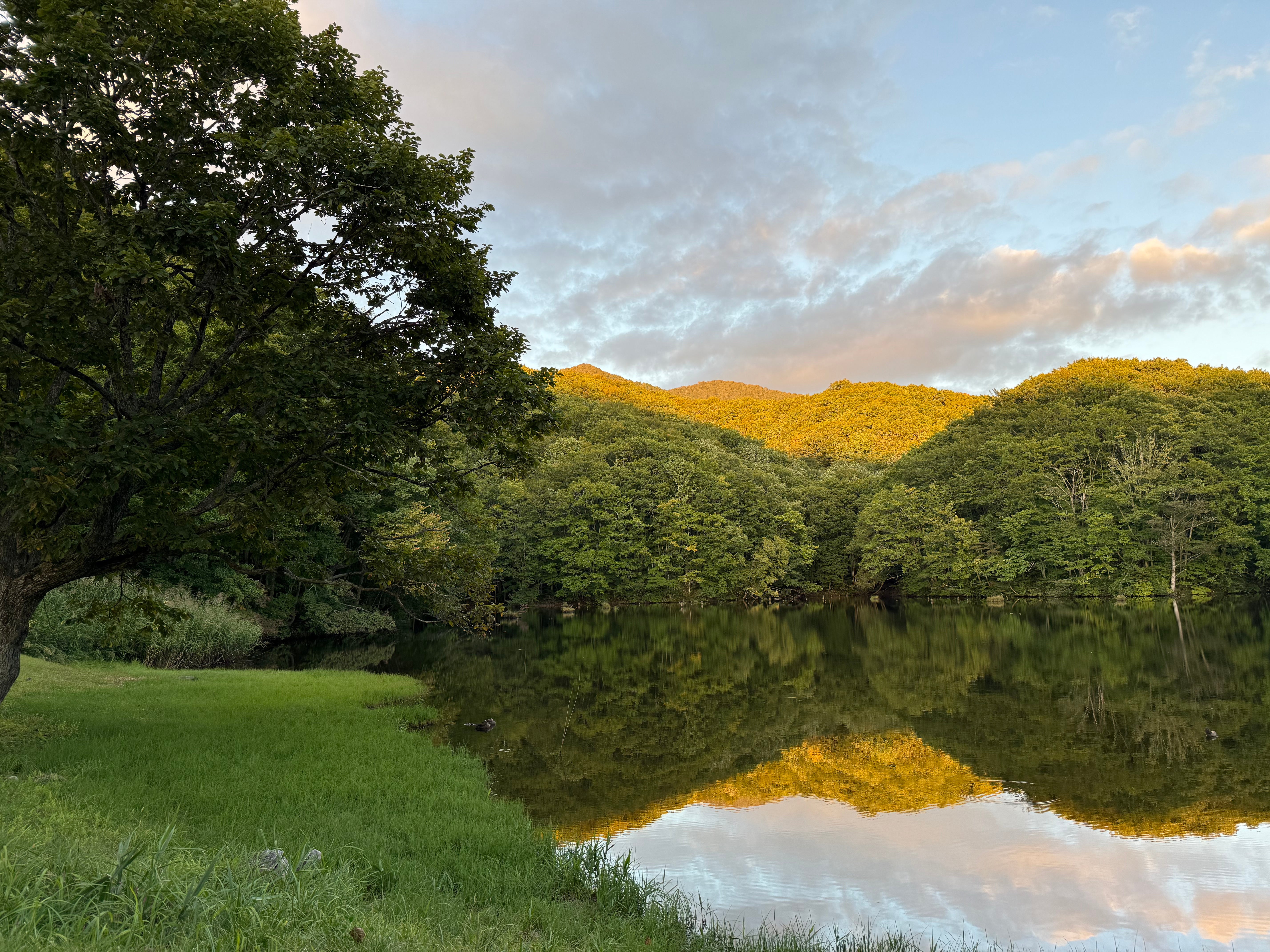 自然満喫コース