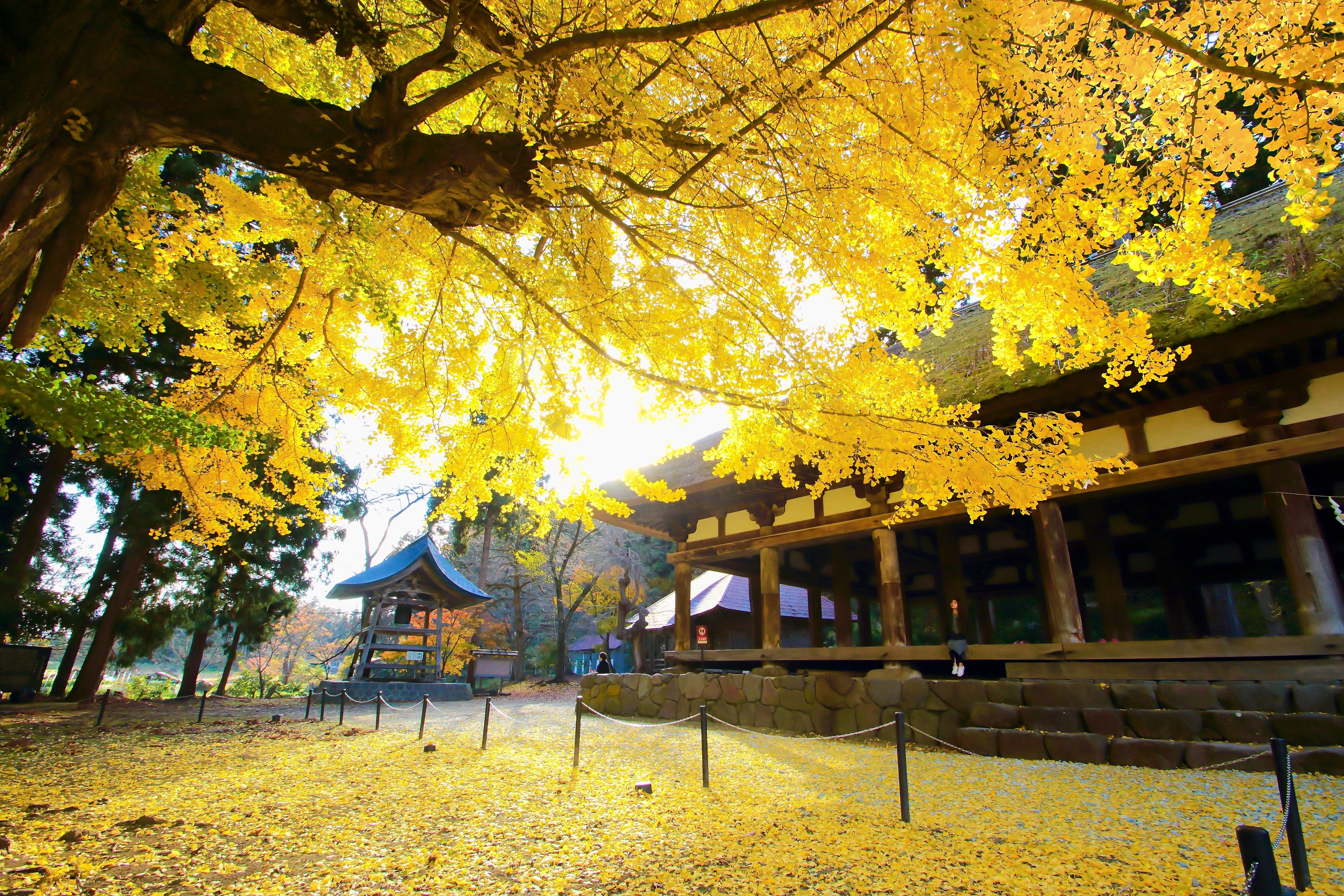 新宮熊野神社 長床