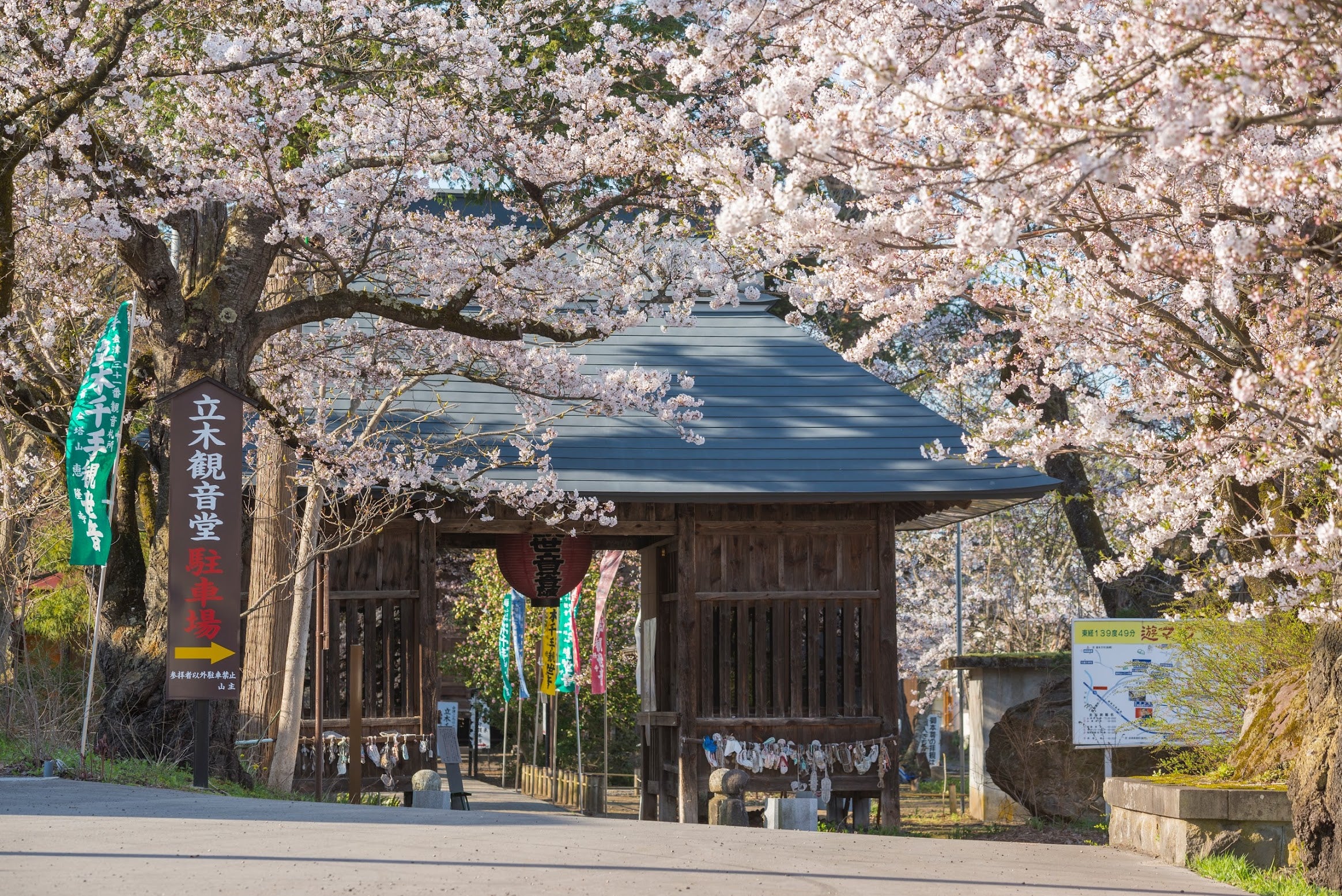 金塔山恵隆寺　立木観音堂