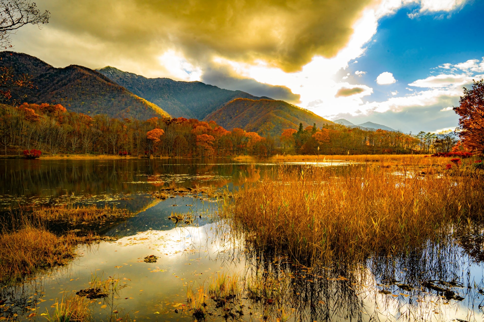 観音沼森林公園