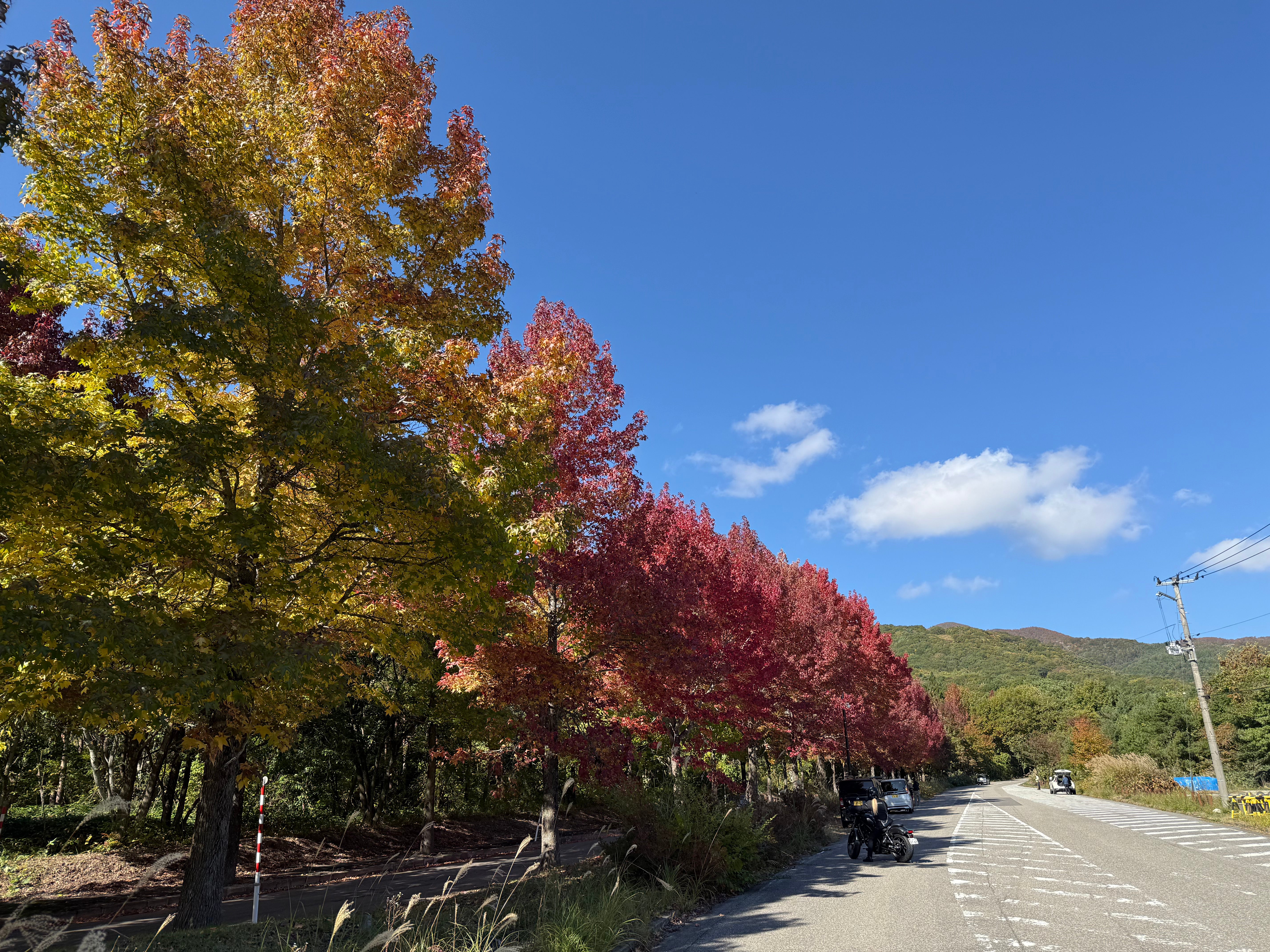 磐梯山ゴールドライン