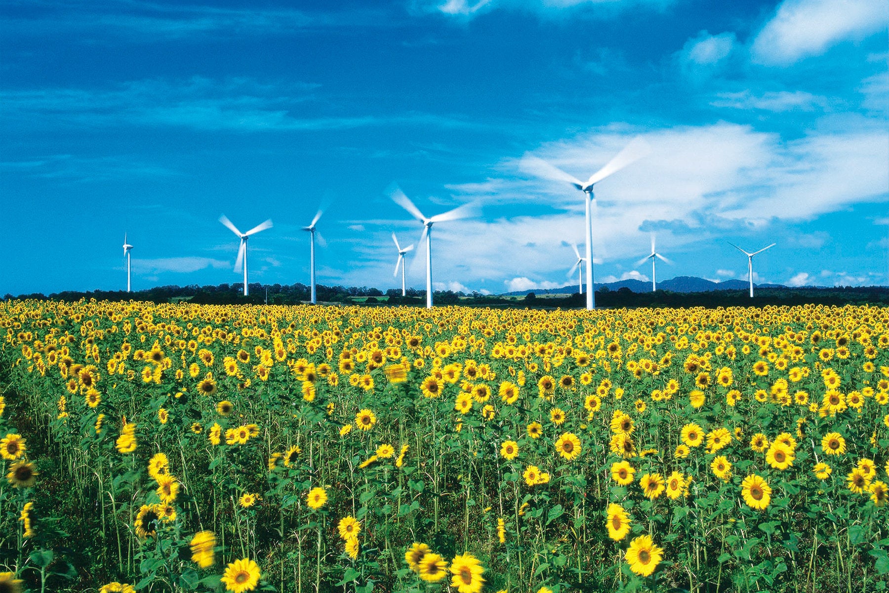 郡山布引風の高原（ぬのびきかぜのこうげん）