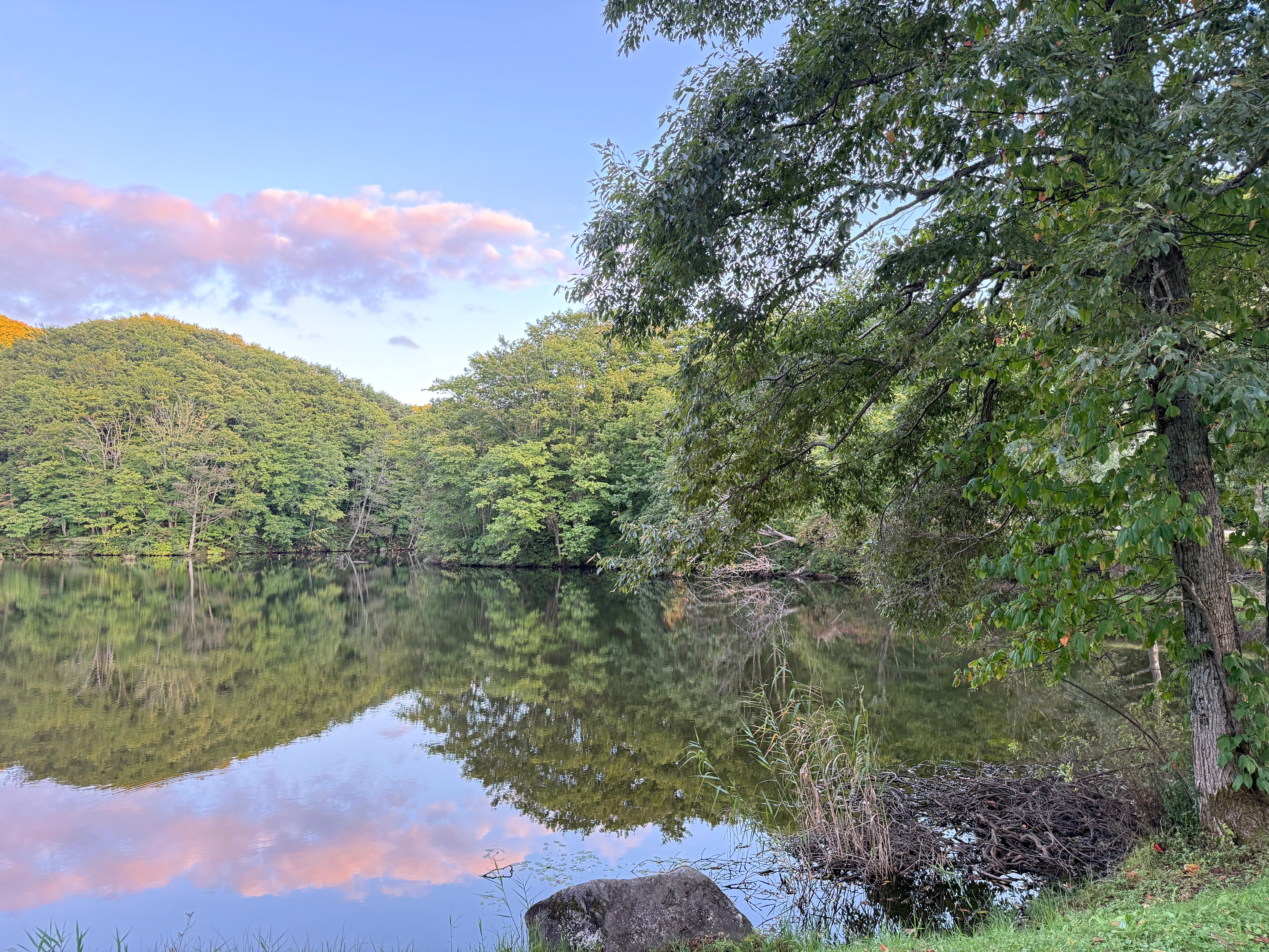神秘の沼　曲沢沼