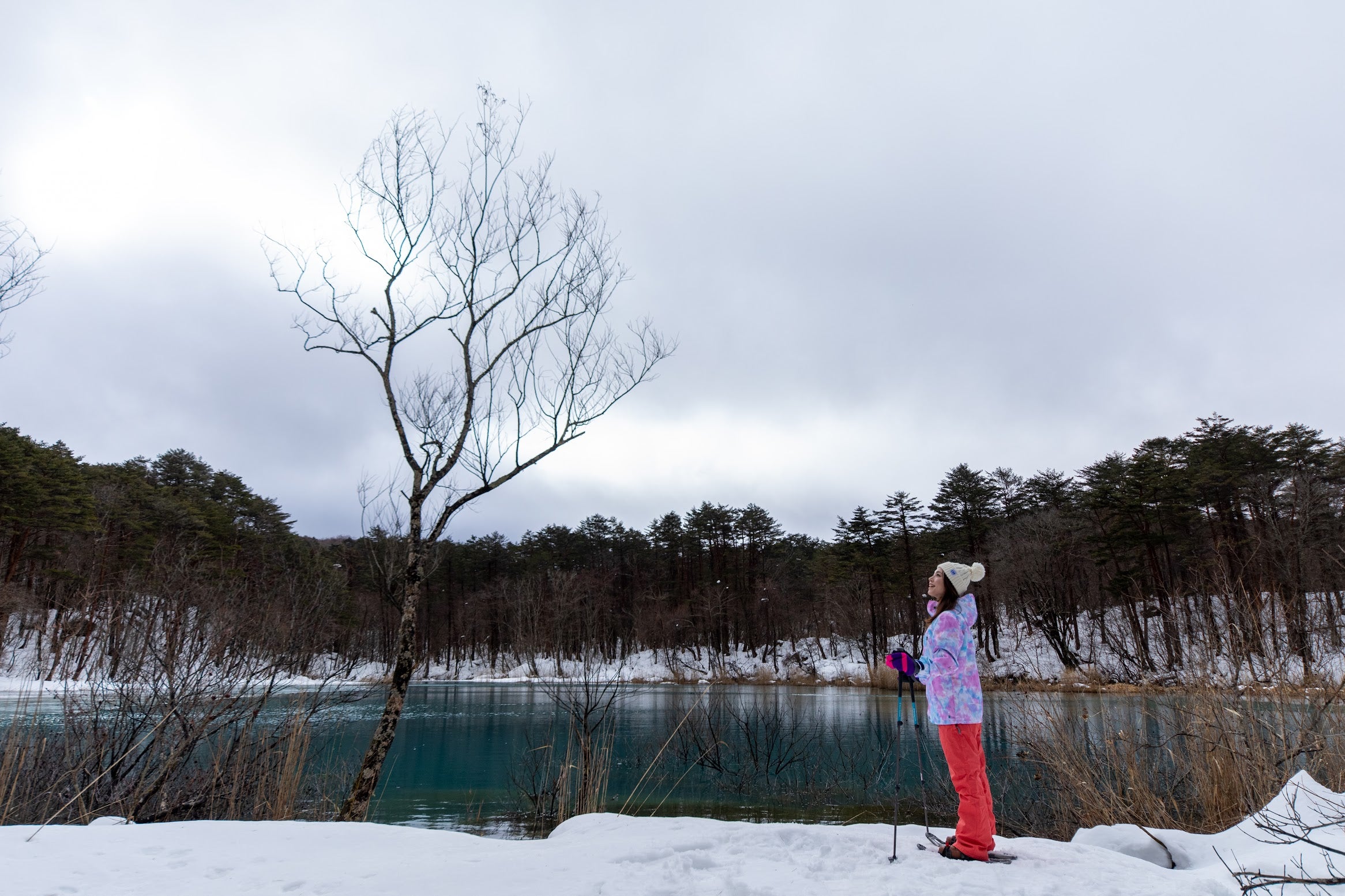 冬のスノーシュー体験