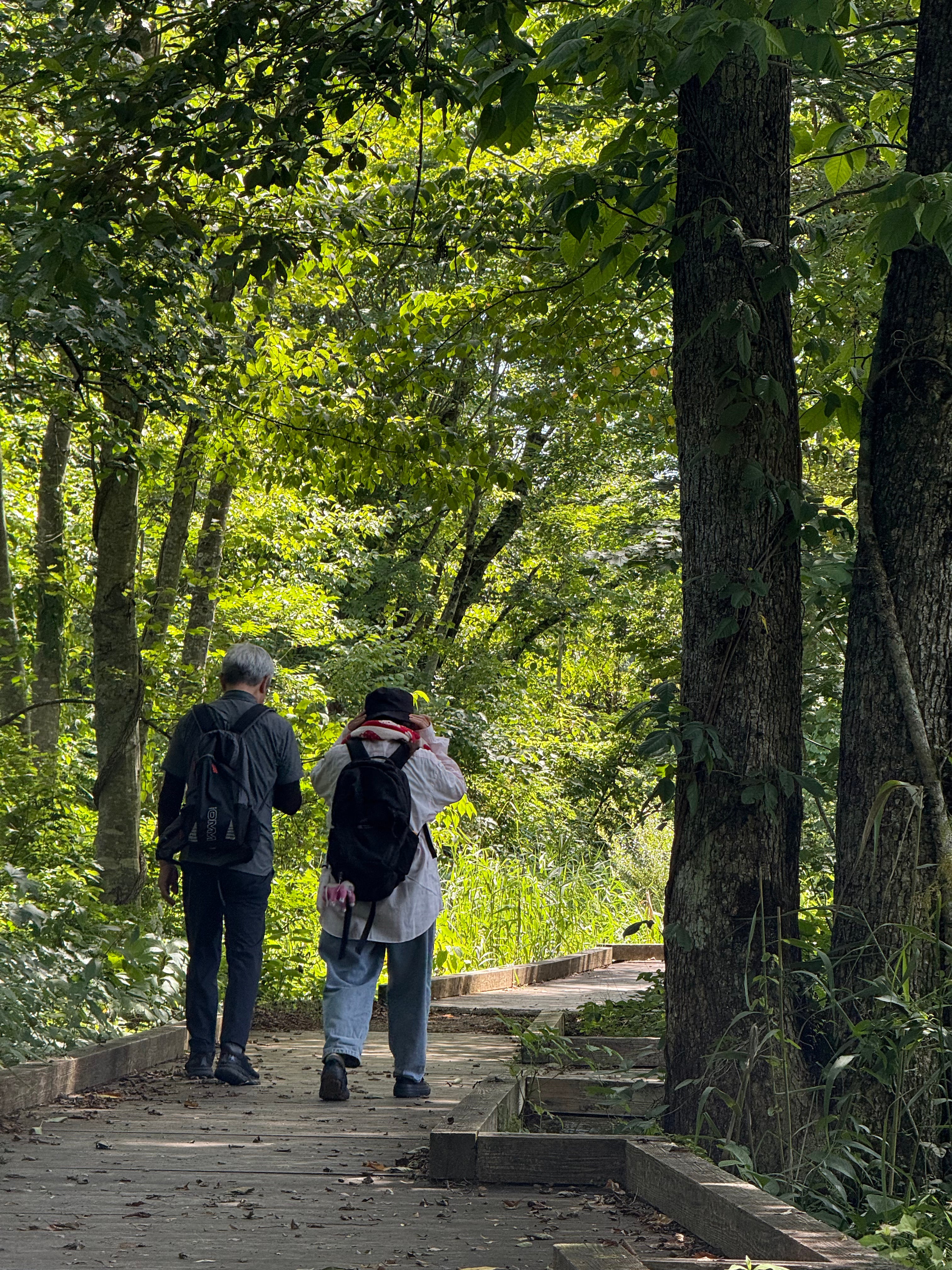 レンゲ・中瀬沼探勝路