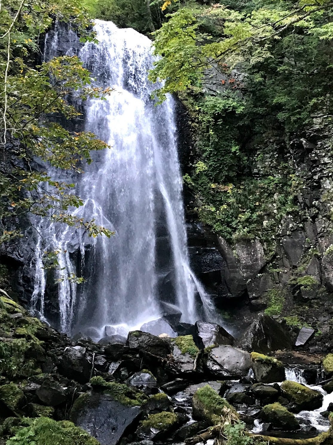 小野川不動滝探勝路