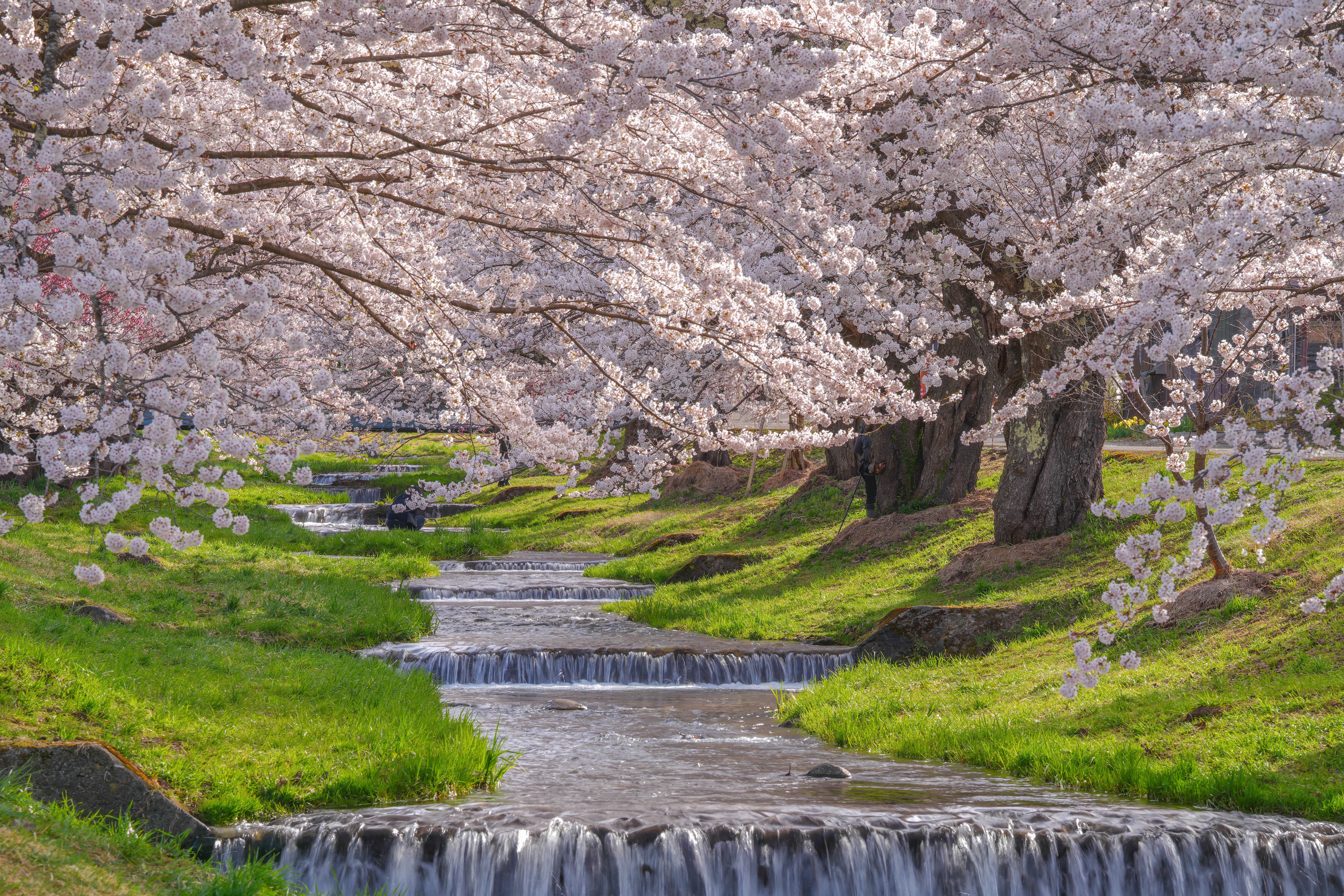 春の深まりと歴史を辿る猪苗代コース
